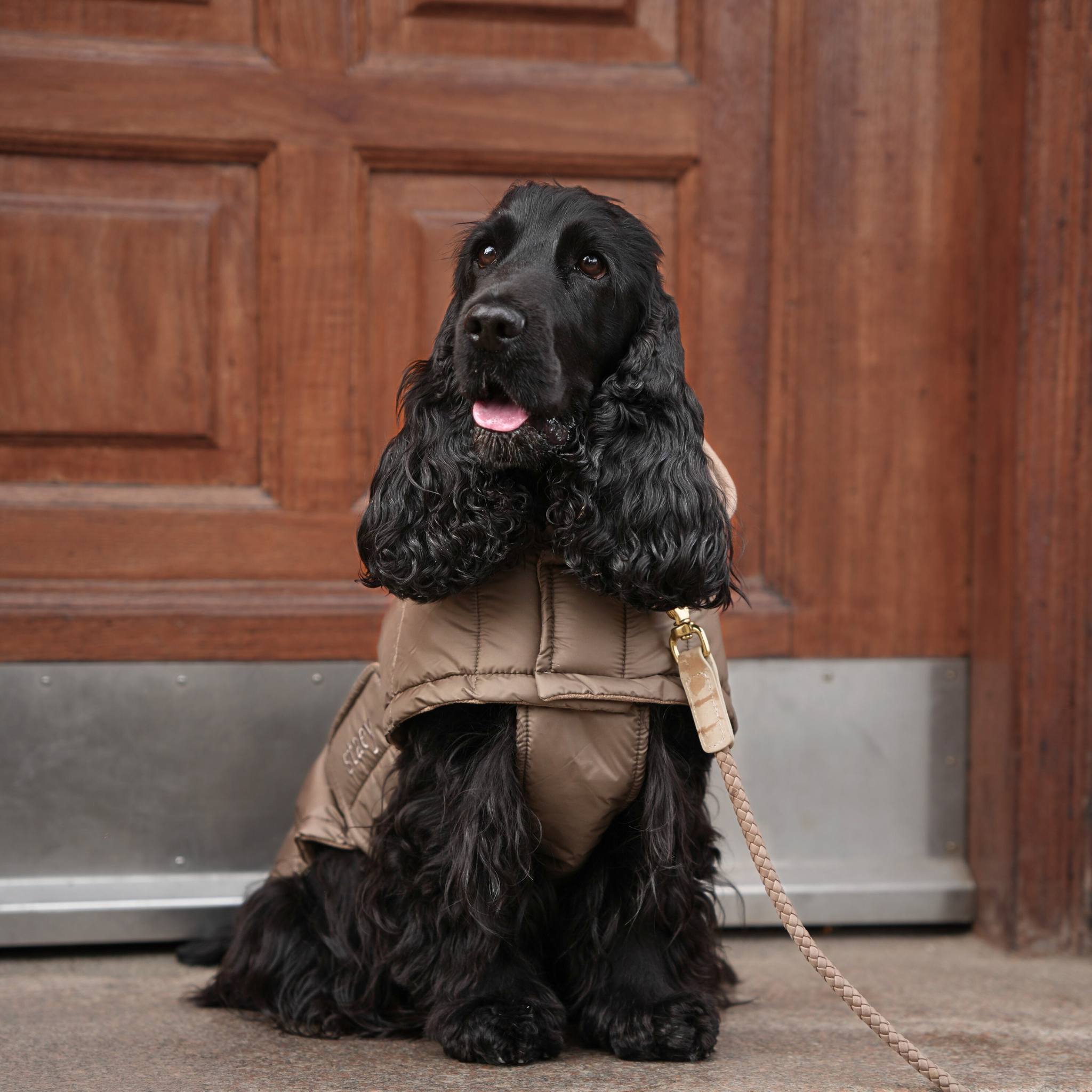 Nora Hundemantel | Taupe