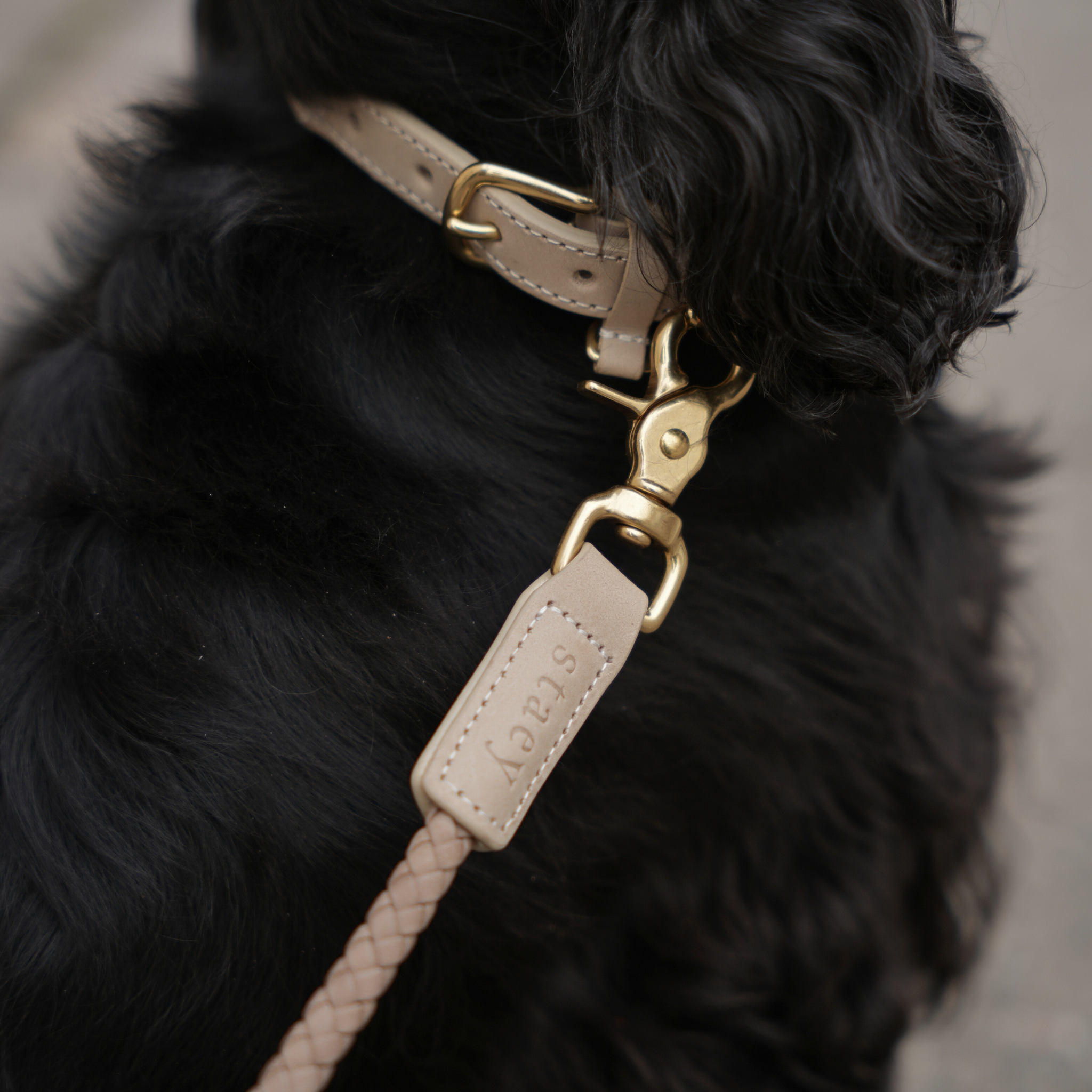 Kaia Braided Dog Leash | Taupe