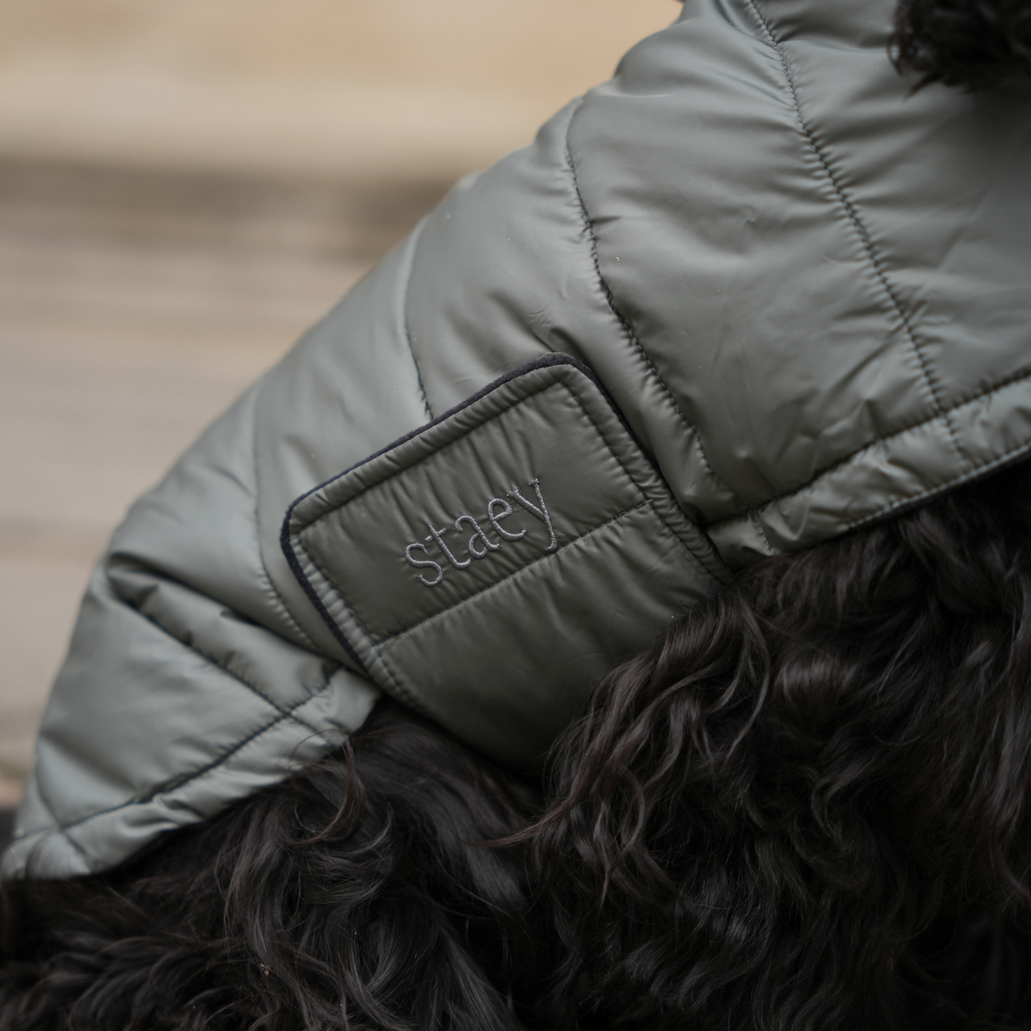 Nora Dog Coat | Moss Green