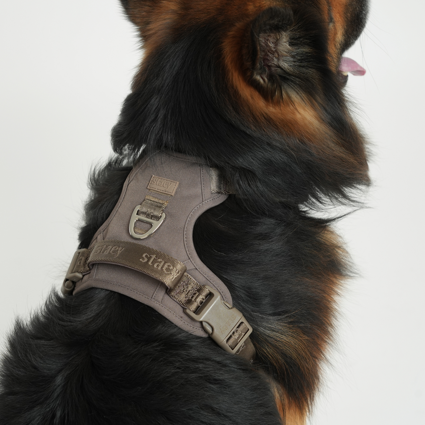 Elma Active Hundegeschirr | Taupe