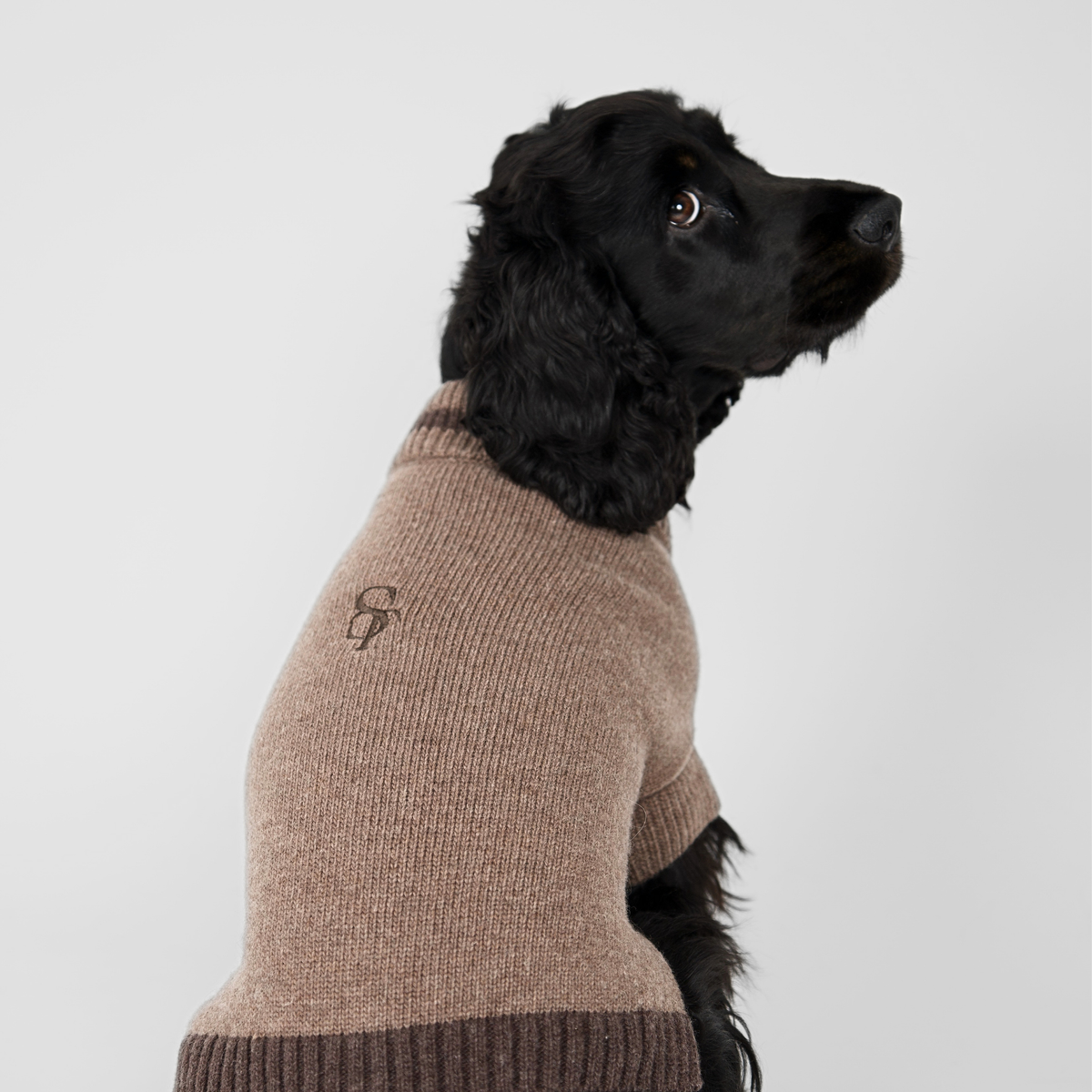 Ellen Dog Sweater | Taupe/Espresso