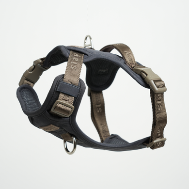 Elma Active Dog Harness | Storm