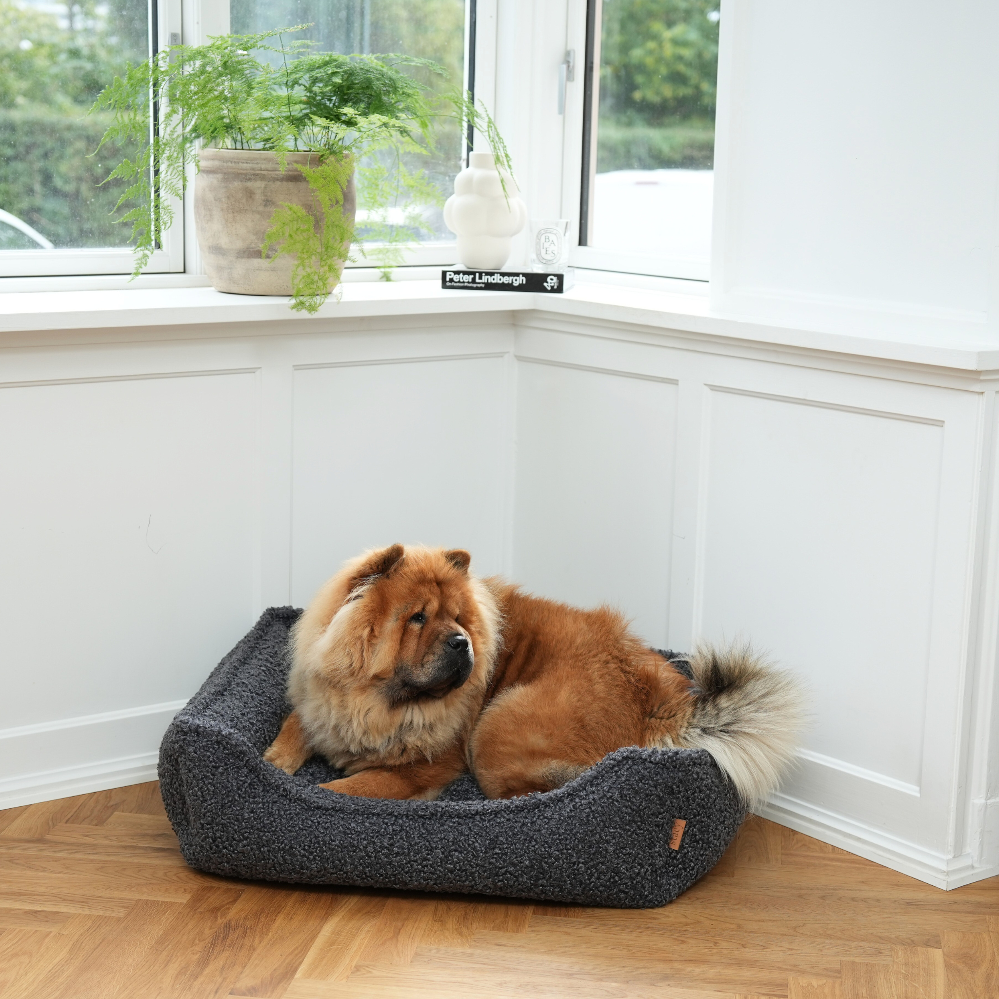 Tora Dog Bed | Storm Curly