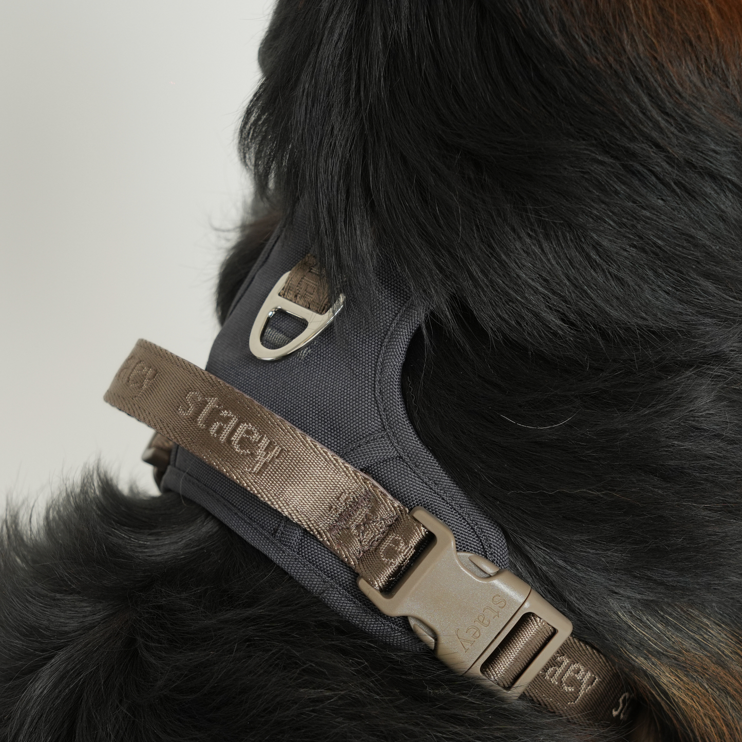 Elma Active Hundegeschirr | Storm