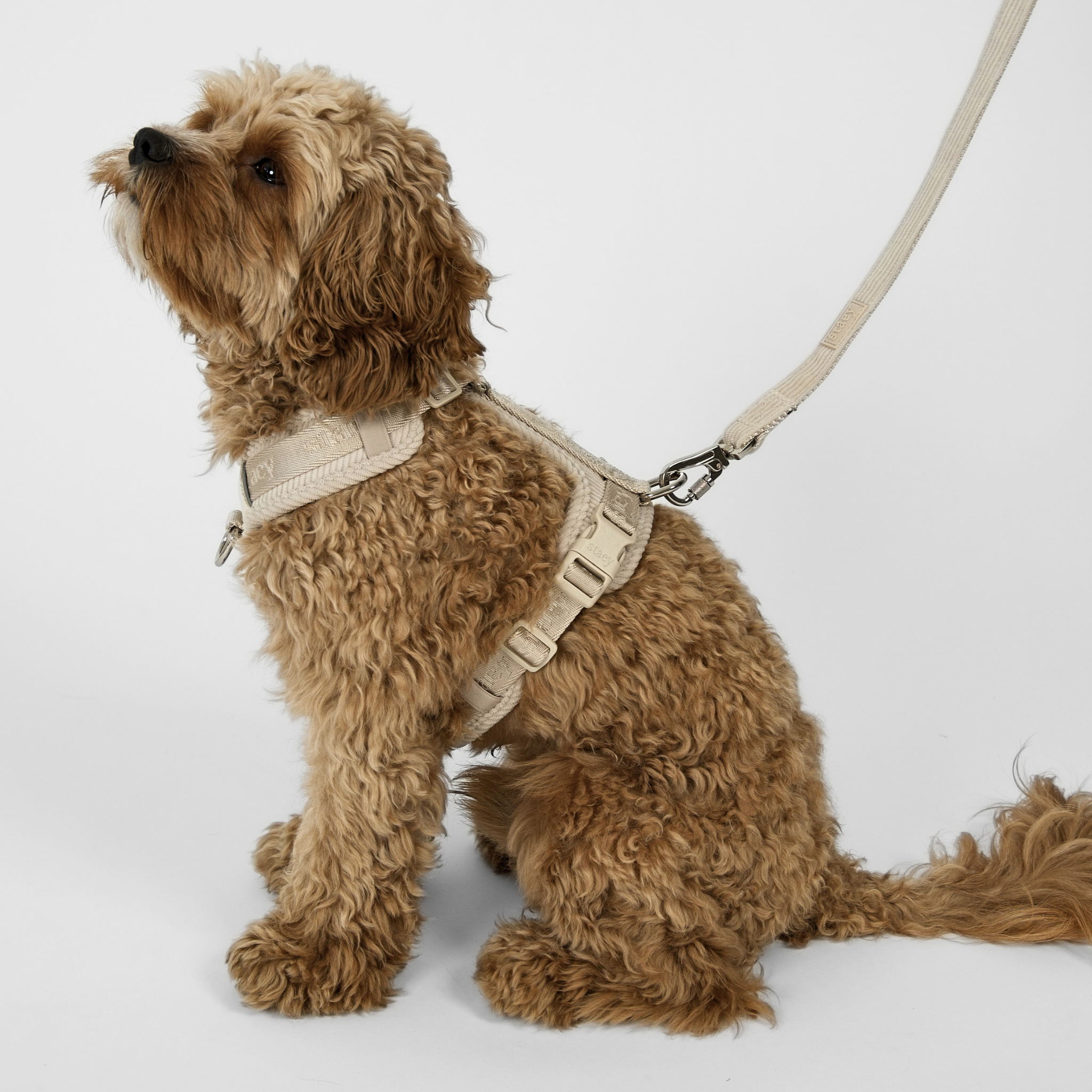 Elma Hundeleine | Oat