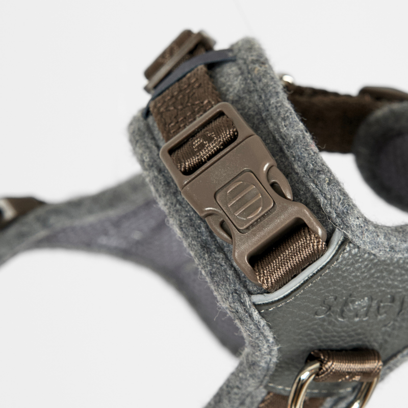 Close-up of the buckle and D-ring on the stone Numa harness