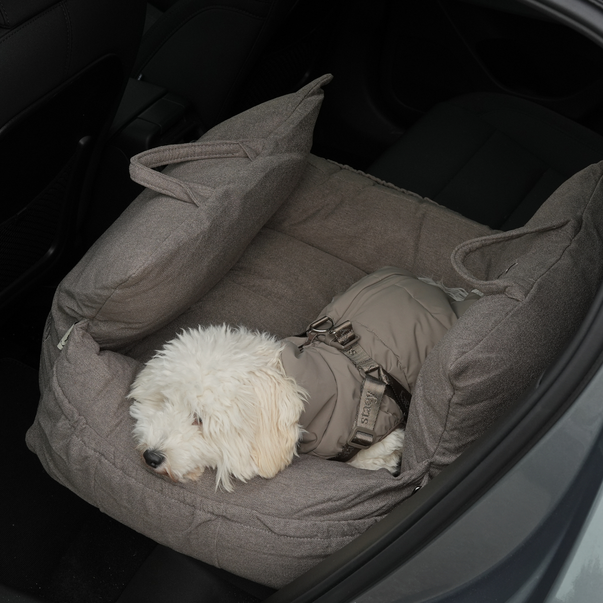 Kleiner weißer Hund liegt in einem Hundeautositz in Taupe im Kofferraum