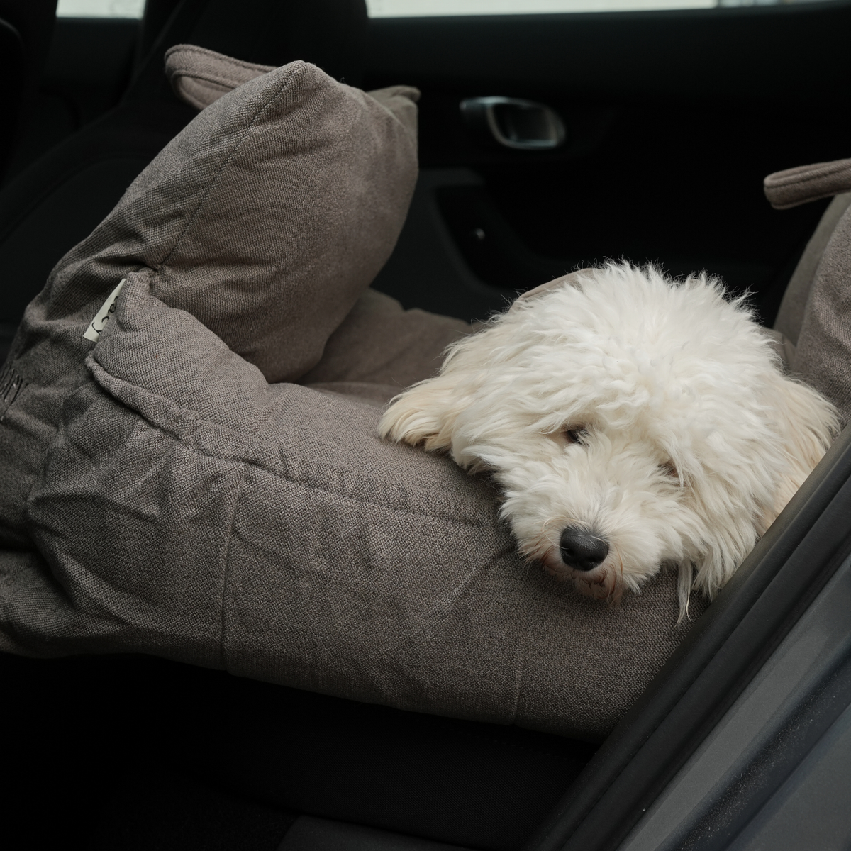 Kleiner weißer Hund liegt in einem Hundeautositz in Taupe auf einem Autositz
