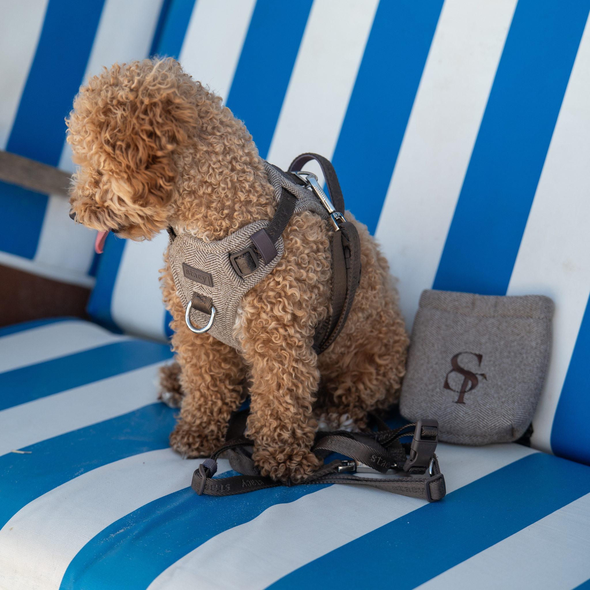 Elma Treat Bag w. Waste Bag Holder | Mocca