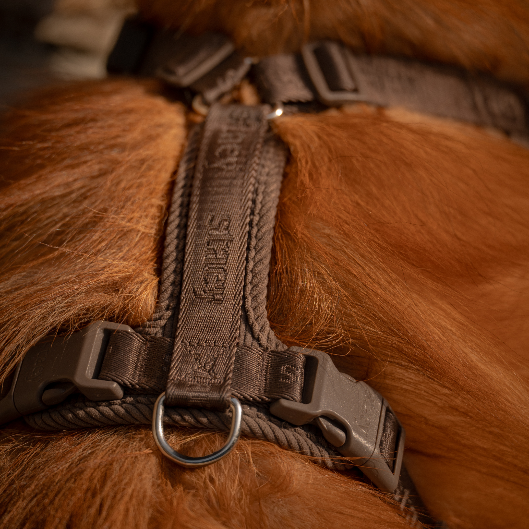 Numa Dog Harness | Dark Oak