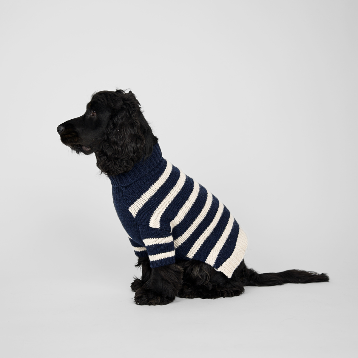 Liva Hundepullover | Midnight/Oat