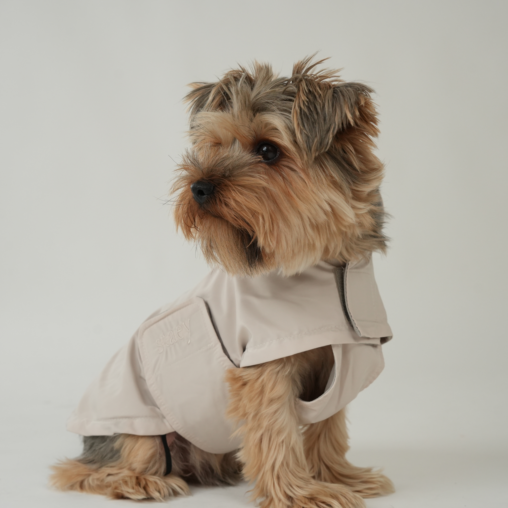 Vega Dog Raincoat | Nature