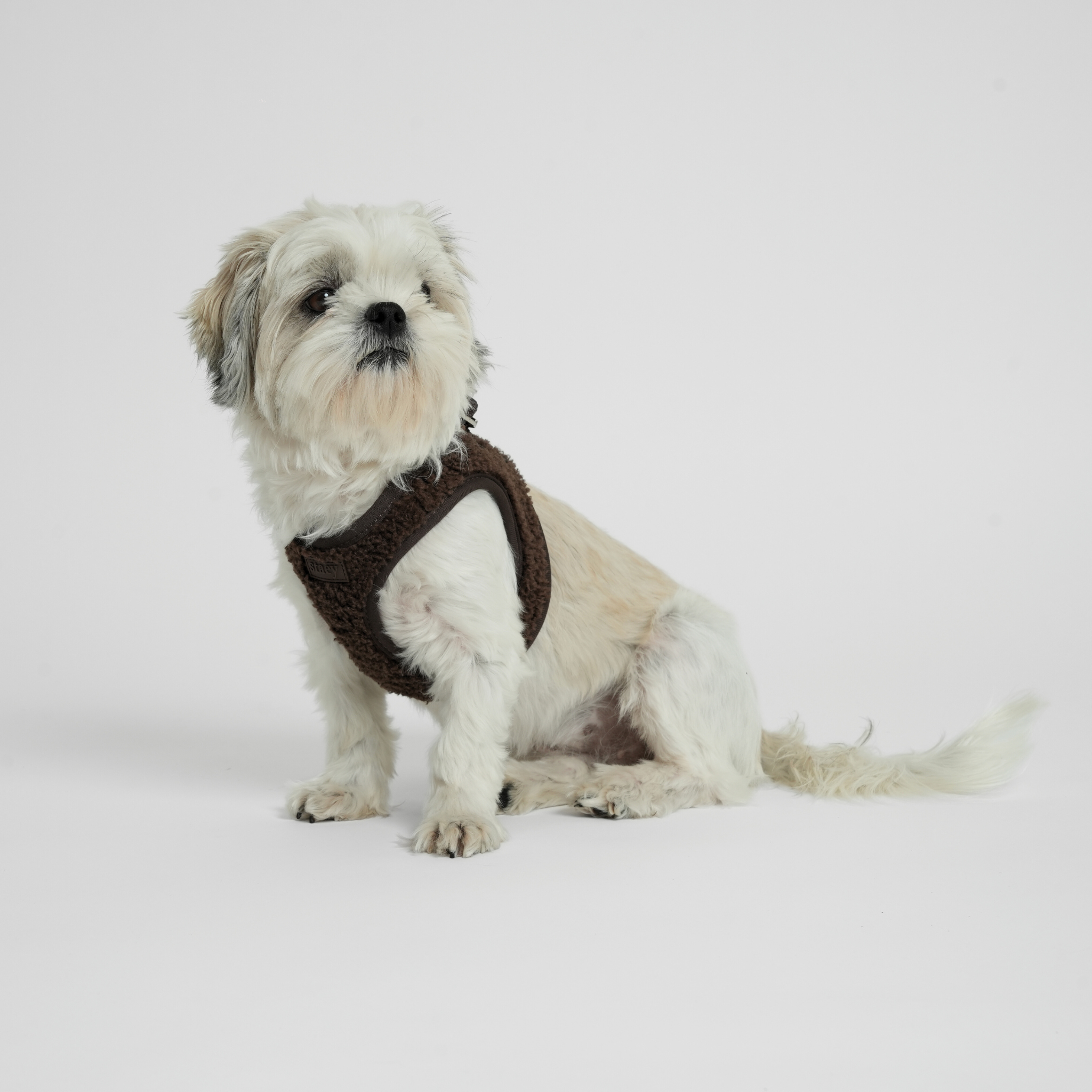 Step-In Dog Harness Teddy | Espresso