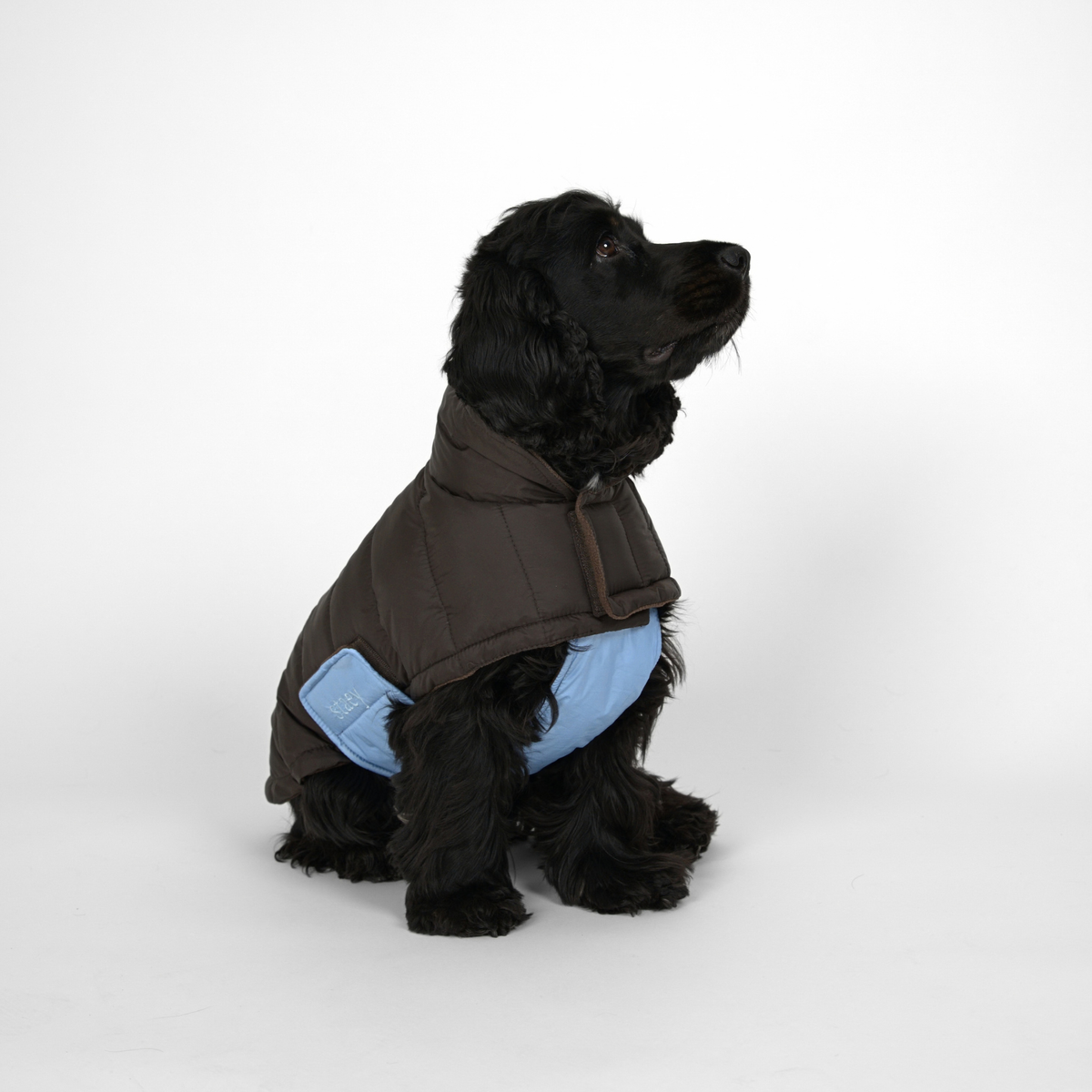Nora Hundemantel | Espresso/Sky Blue