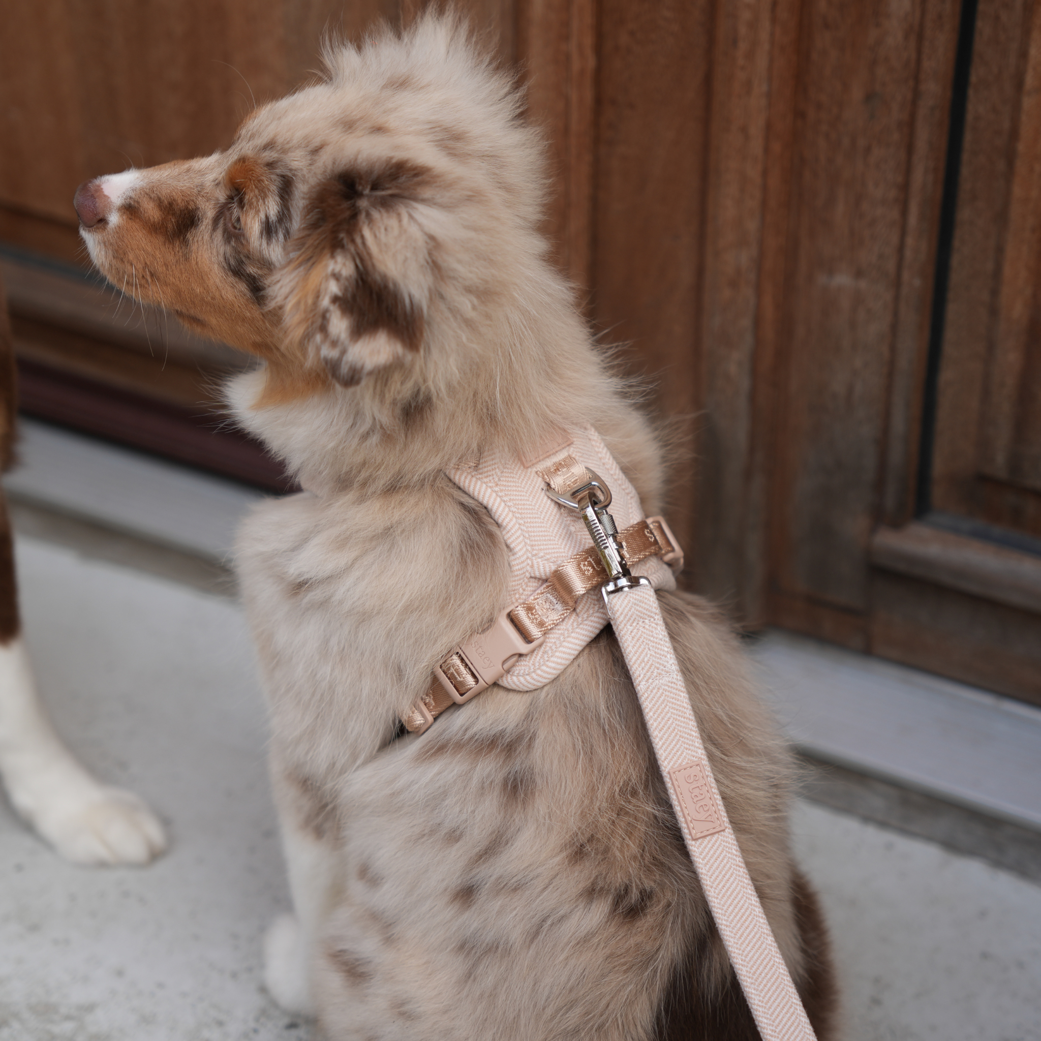 Elma Dog Harness | Light Rose