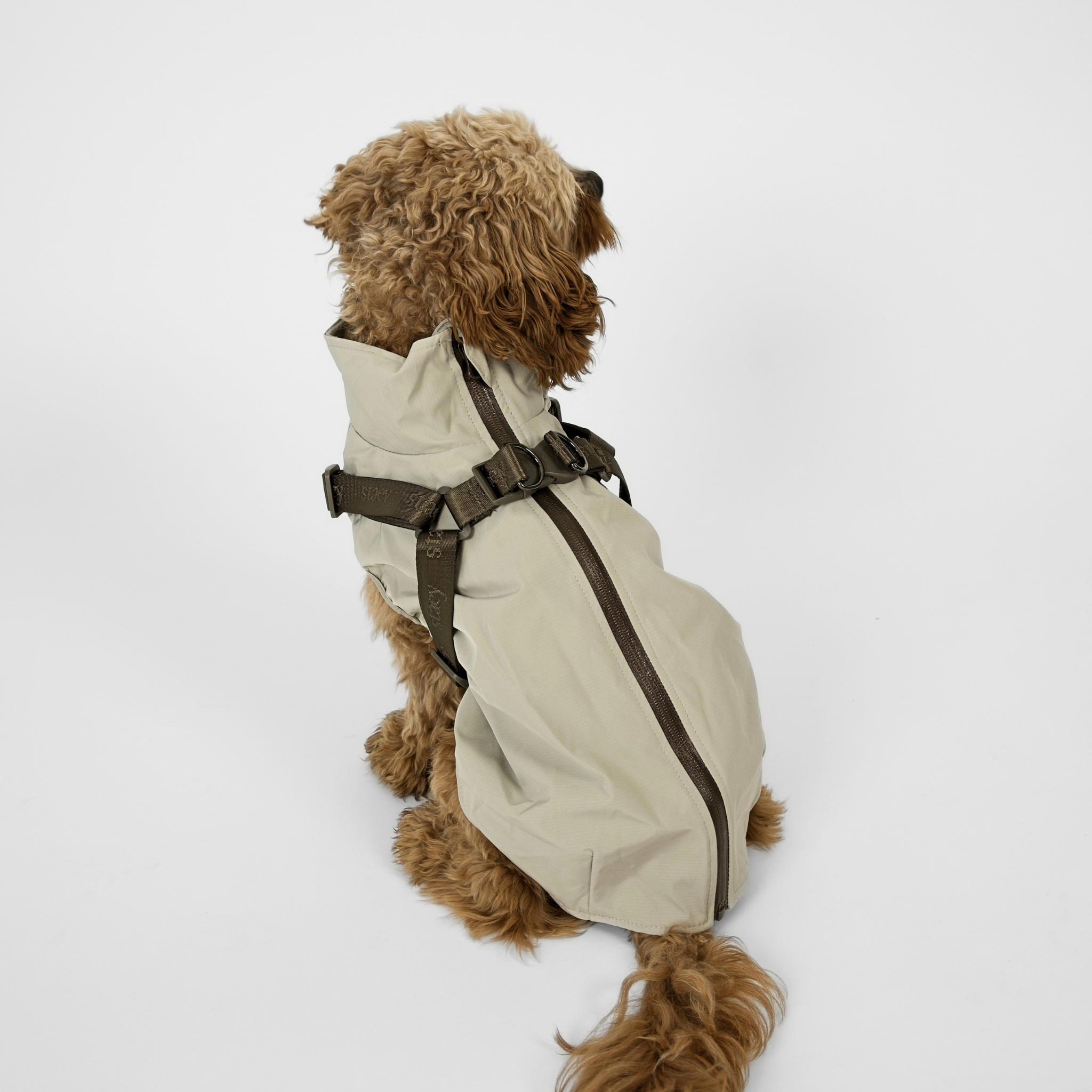 Norma Dog Rain Coat w. Harness | Nature