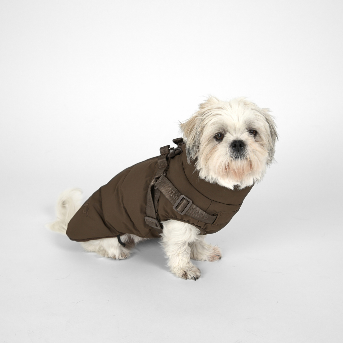Vera Hundemantel mit integriertem Geschirr | Chestnut