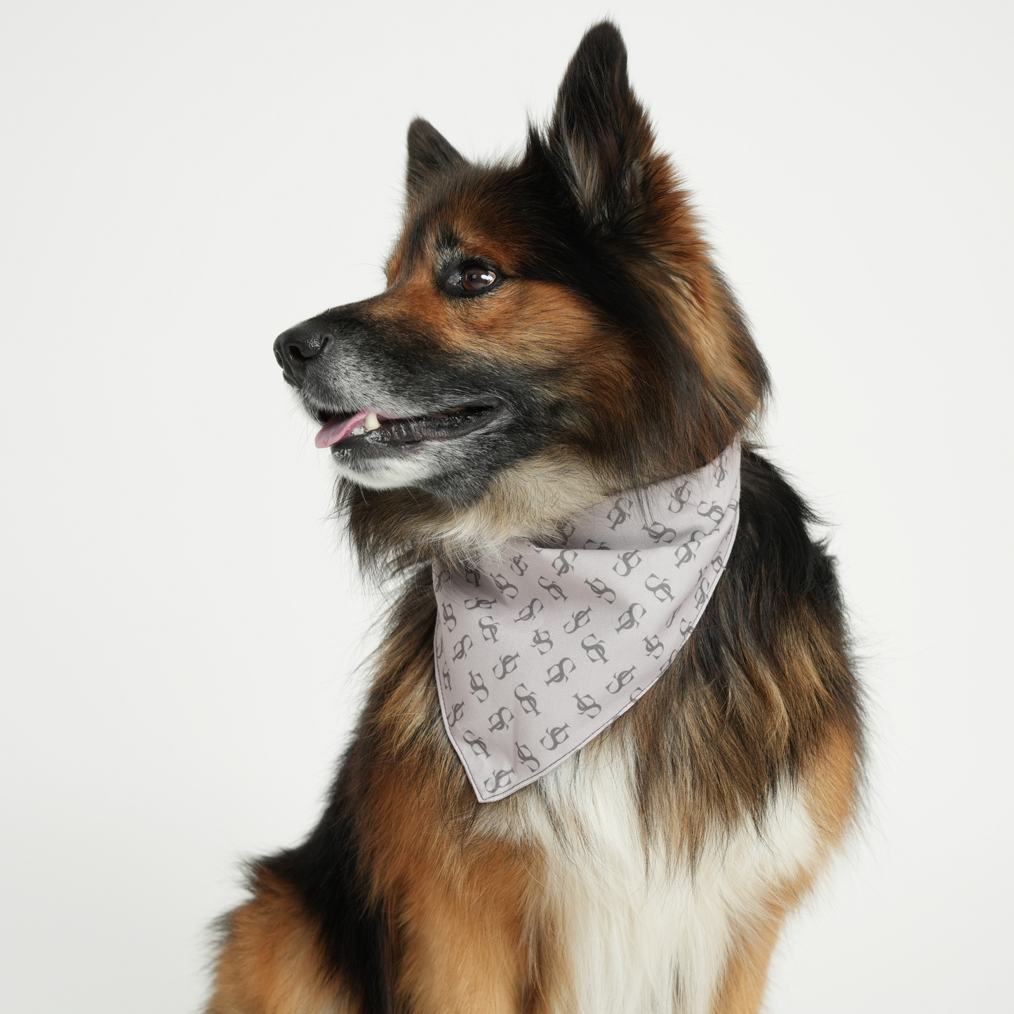 ST Bandana