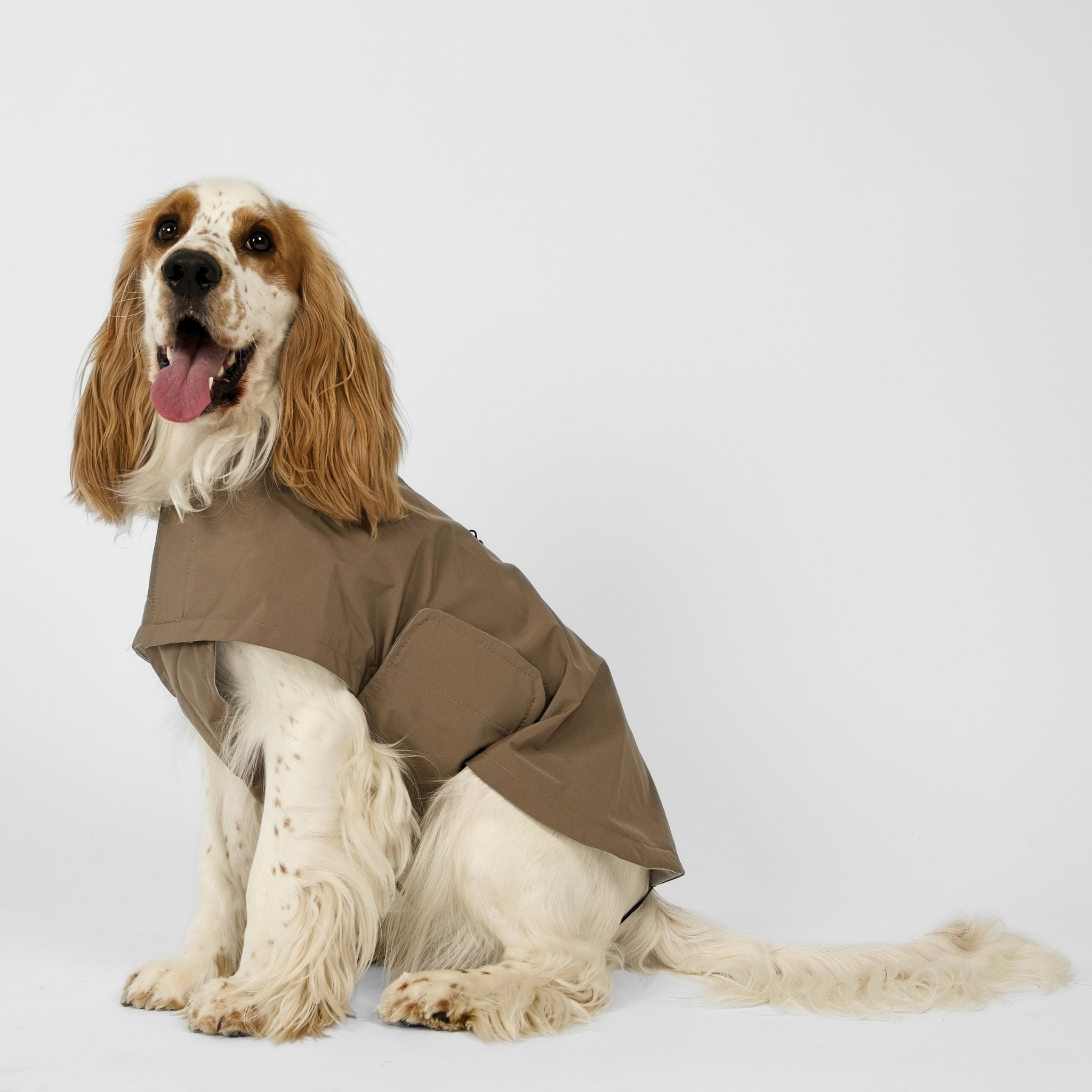 Taja Dog Rain Coat | Taupe