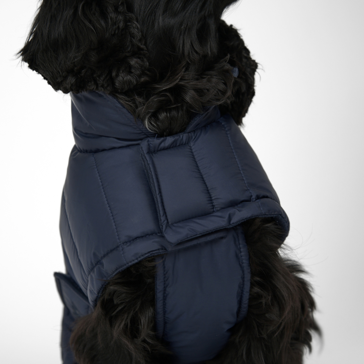 Nora Hundemantel | Midnight