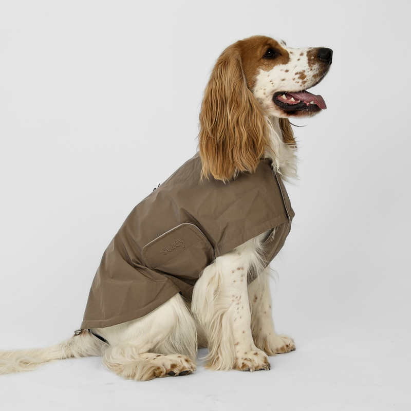Cocker spaniel seen from the side in the taupe Taja rain coat