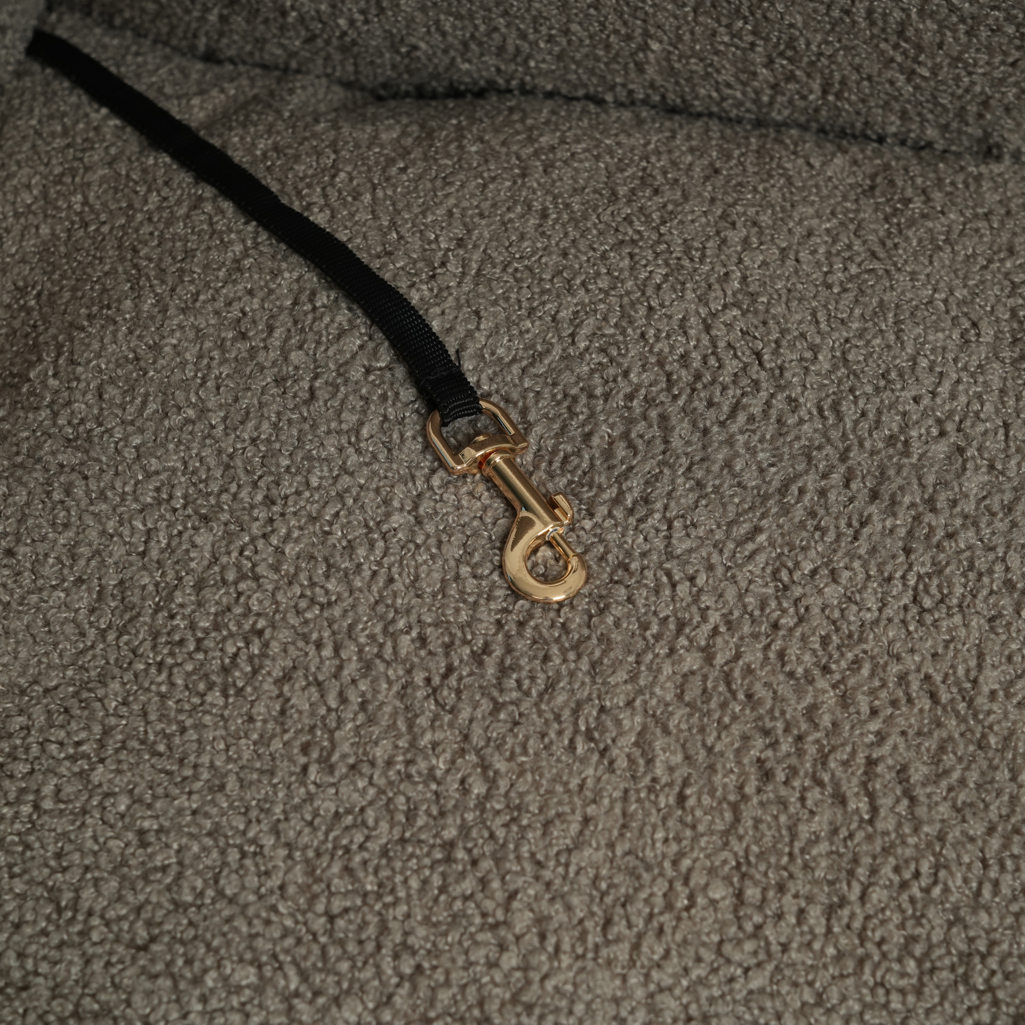 Lara Car Seat | Teddy 2.0