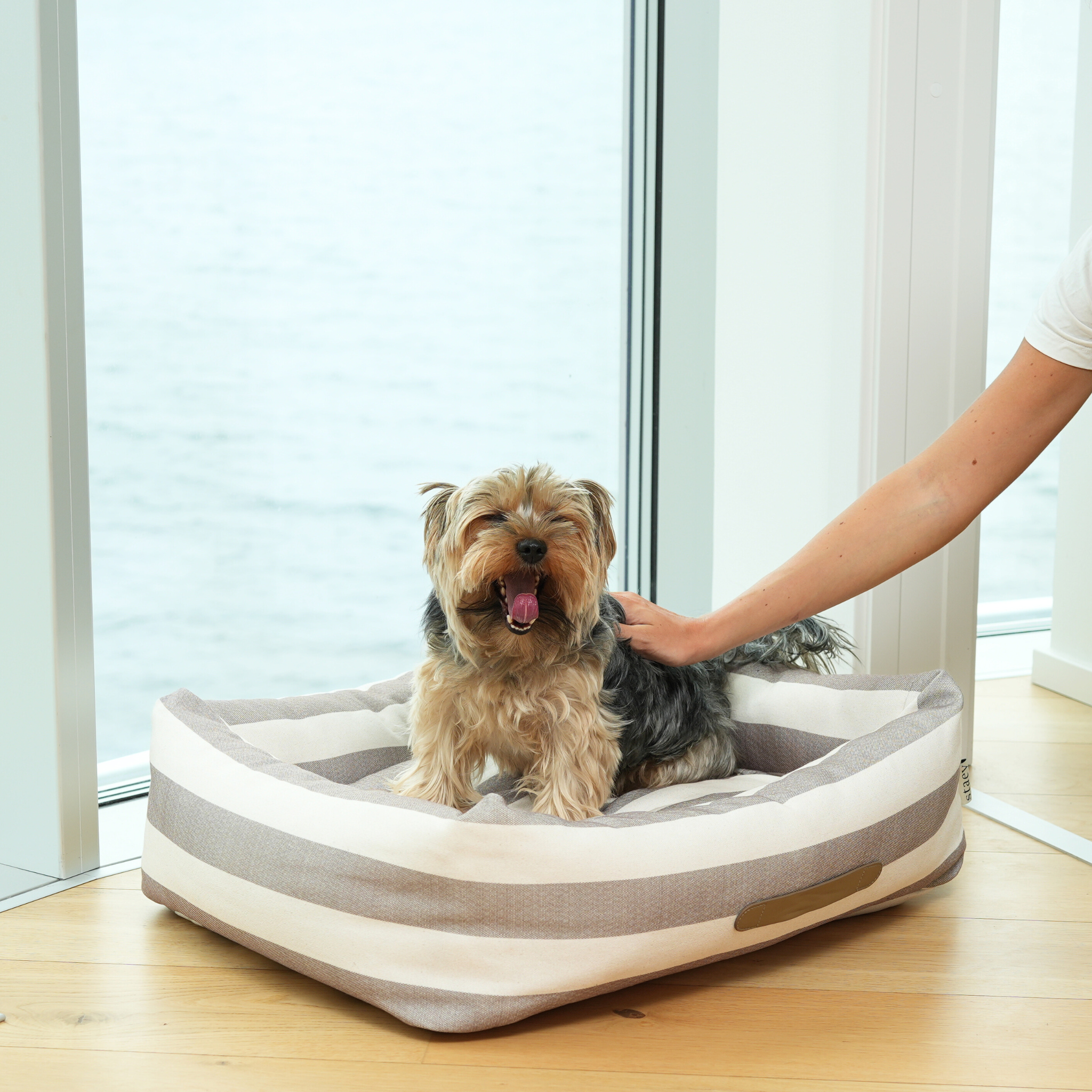 Alba Dog Bed | Striped