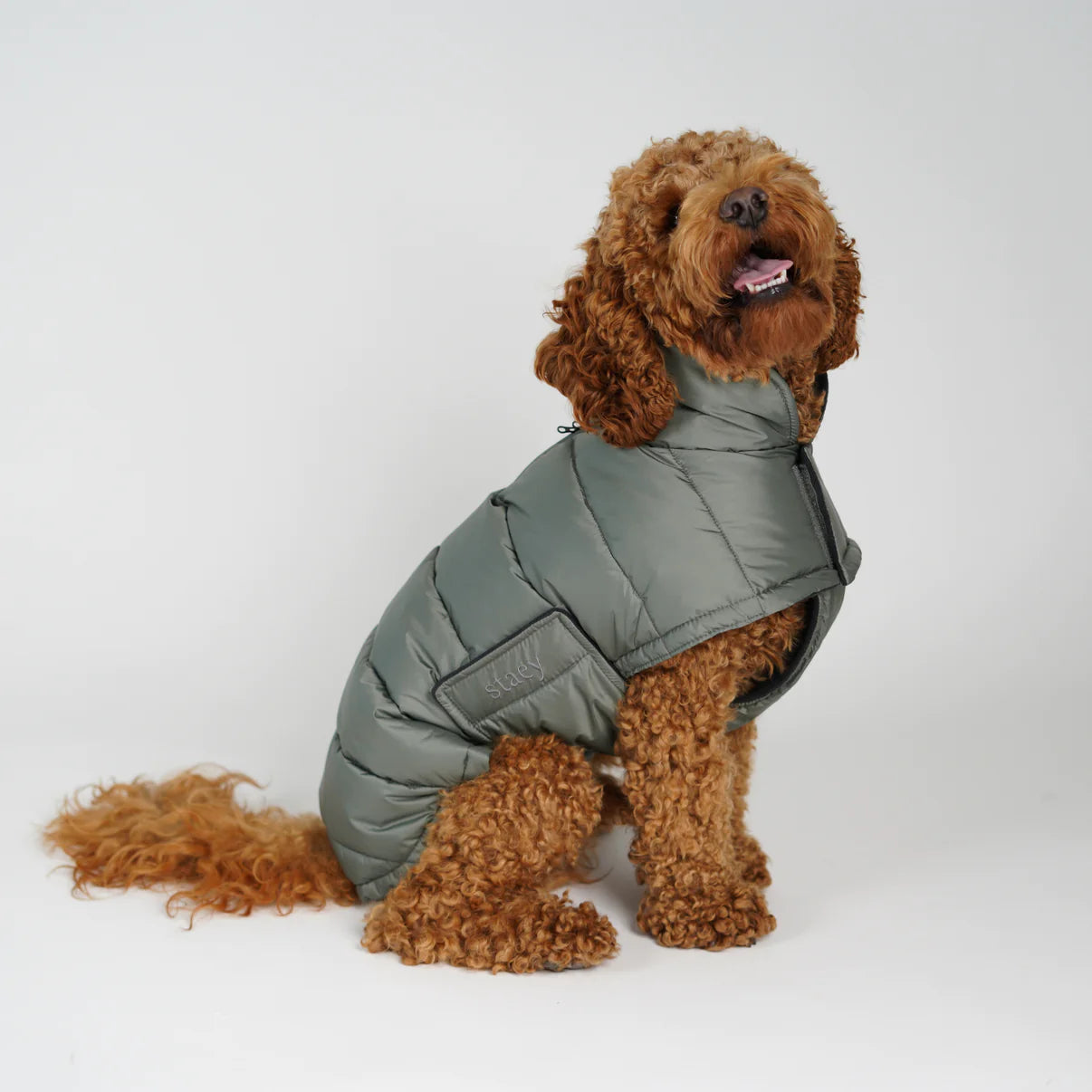 Nora Dog Coat | Moss Green