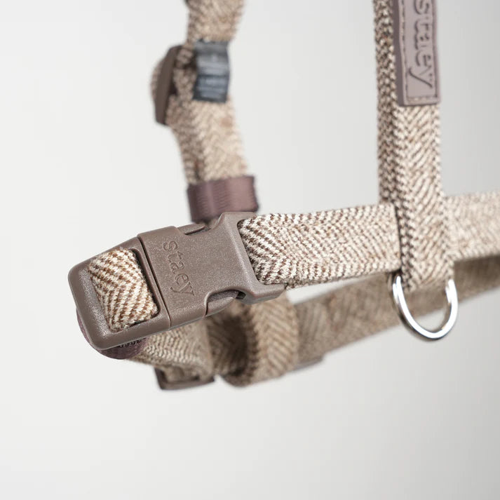 Tara H-Strap Dog Harness | Mocca
