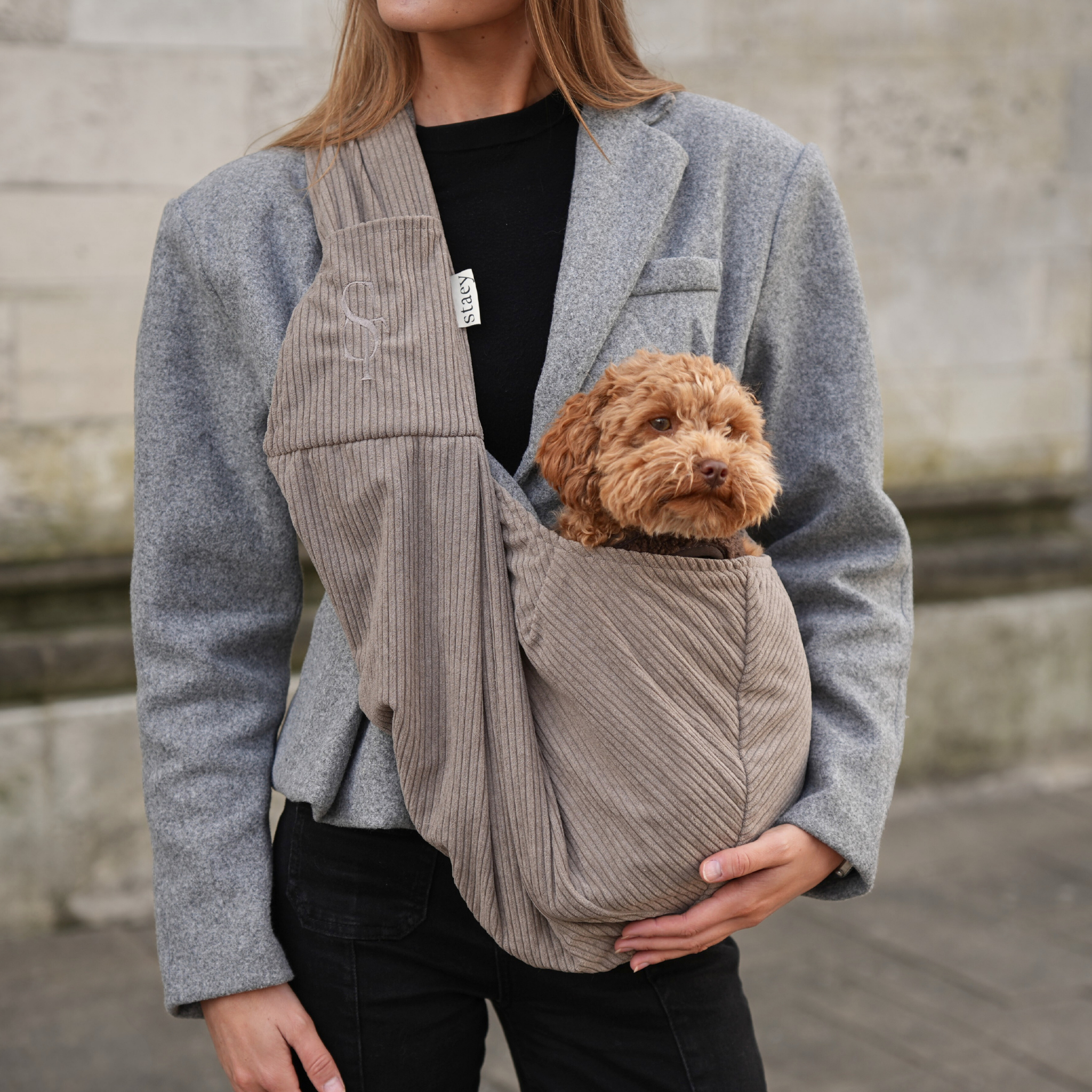 Ava Puppy Carrier | Corduroy