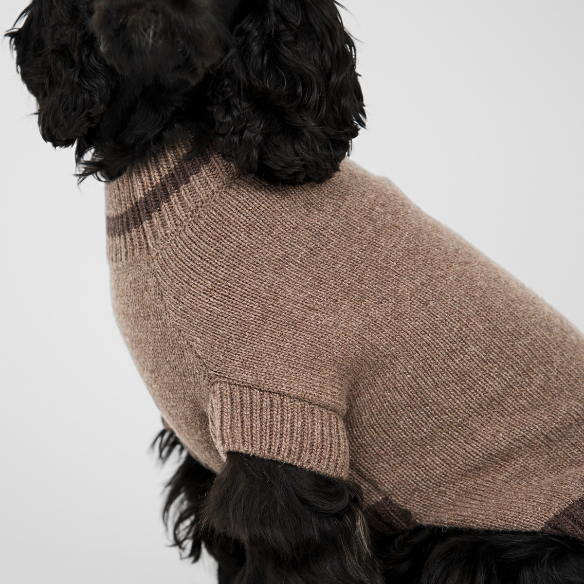 Ellen Dog Sweater | Taupe/Espresso