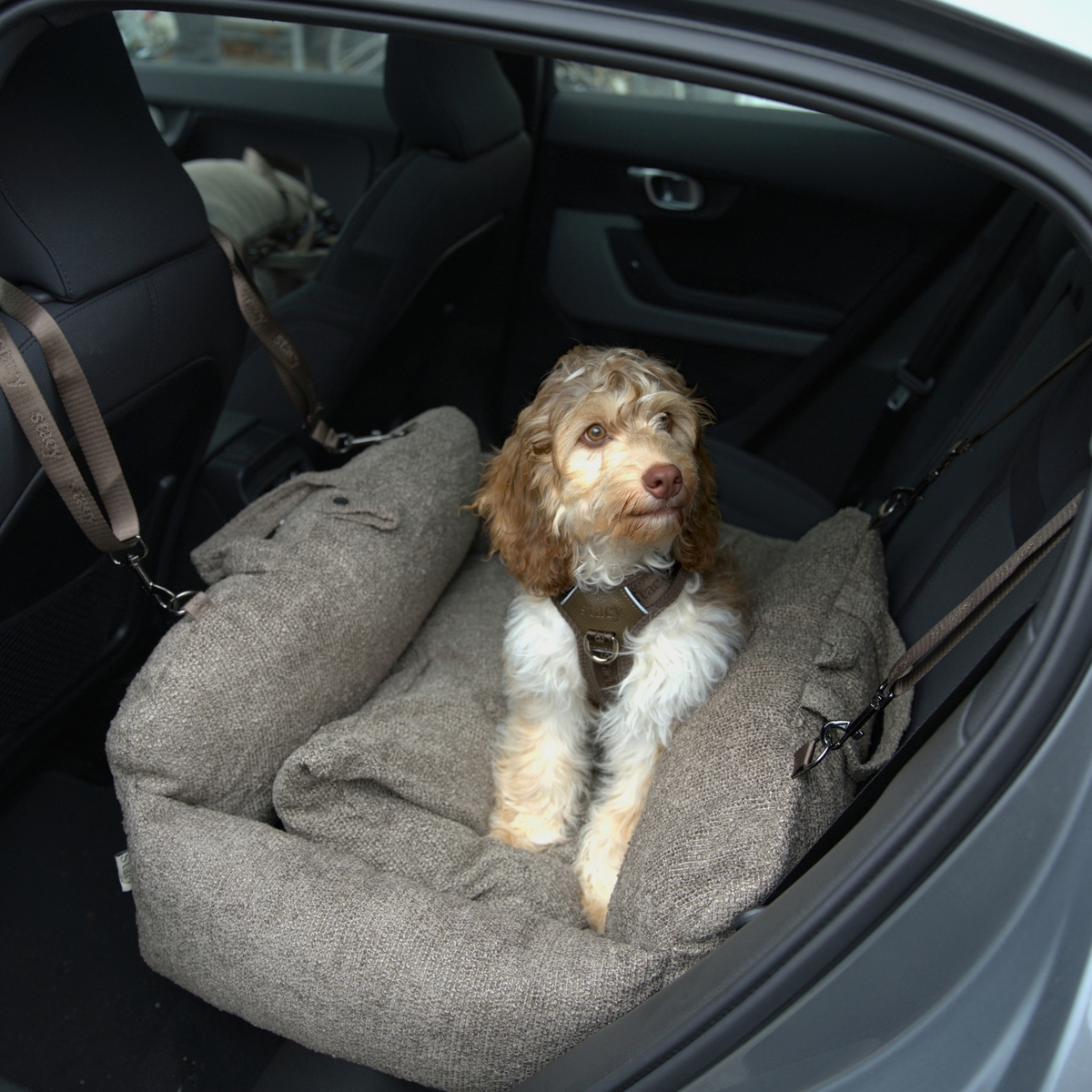Tova 2-in-1 Hundeautositz XL | Chestnut Bouclé