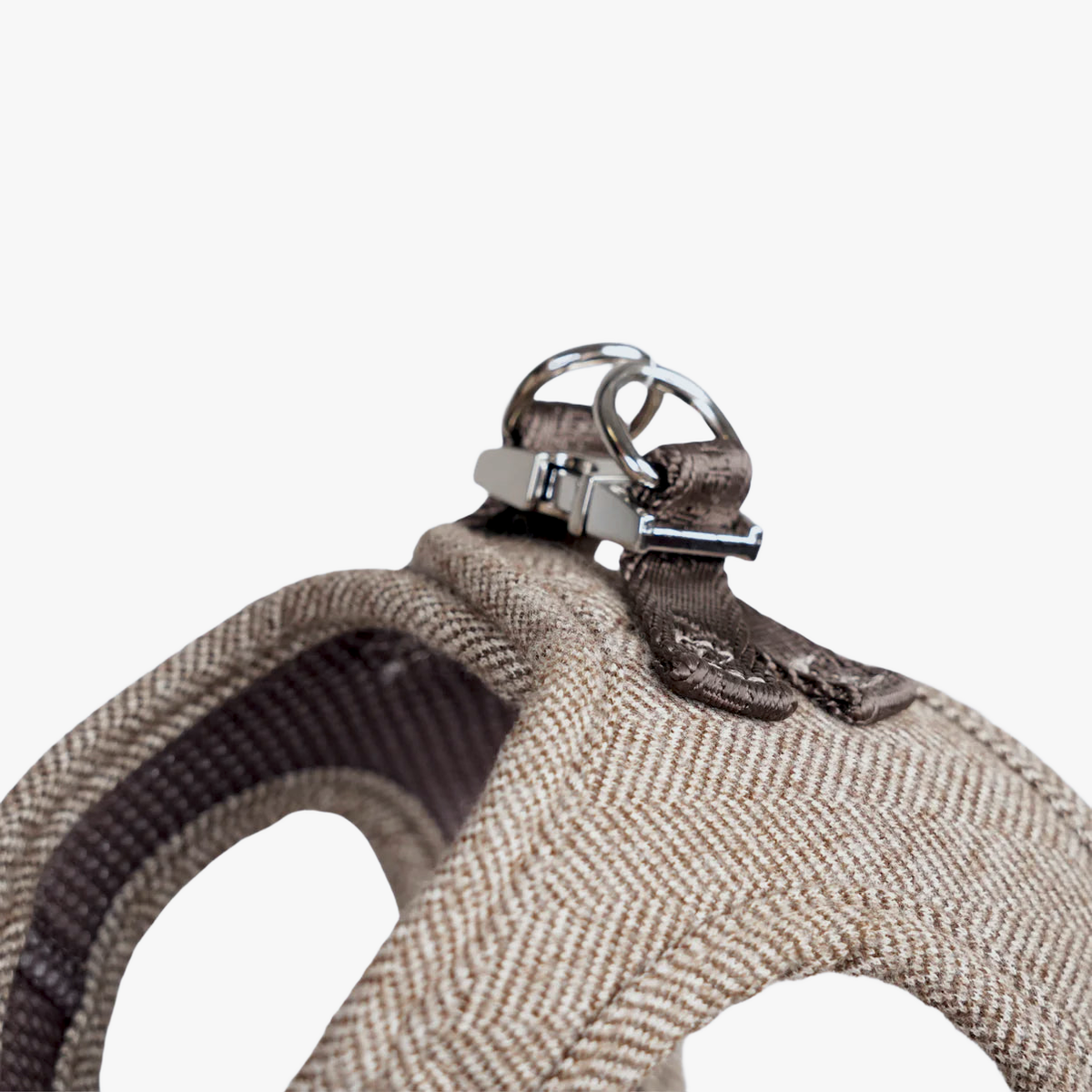 Close-up of the herringbone Saga step-in harness with its buckle