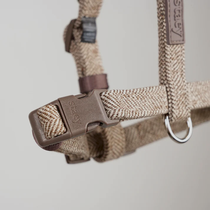Close-up of the buckle and D-ring on the mocca Tara harness