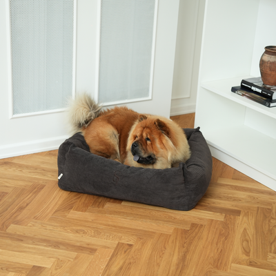 Chow chow lying in the dark oak corduroy Vera bed on parquet