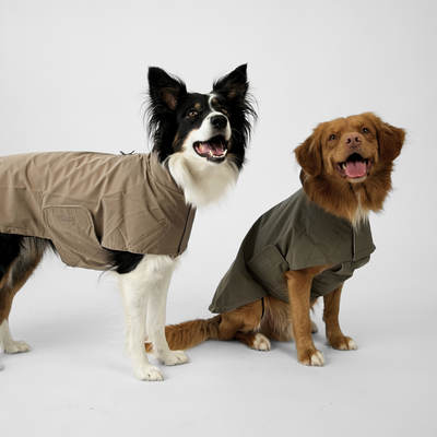 Border collie in a taupe rain coat beside a small dog in a moss green rain coat