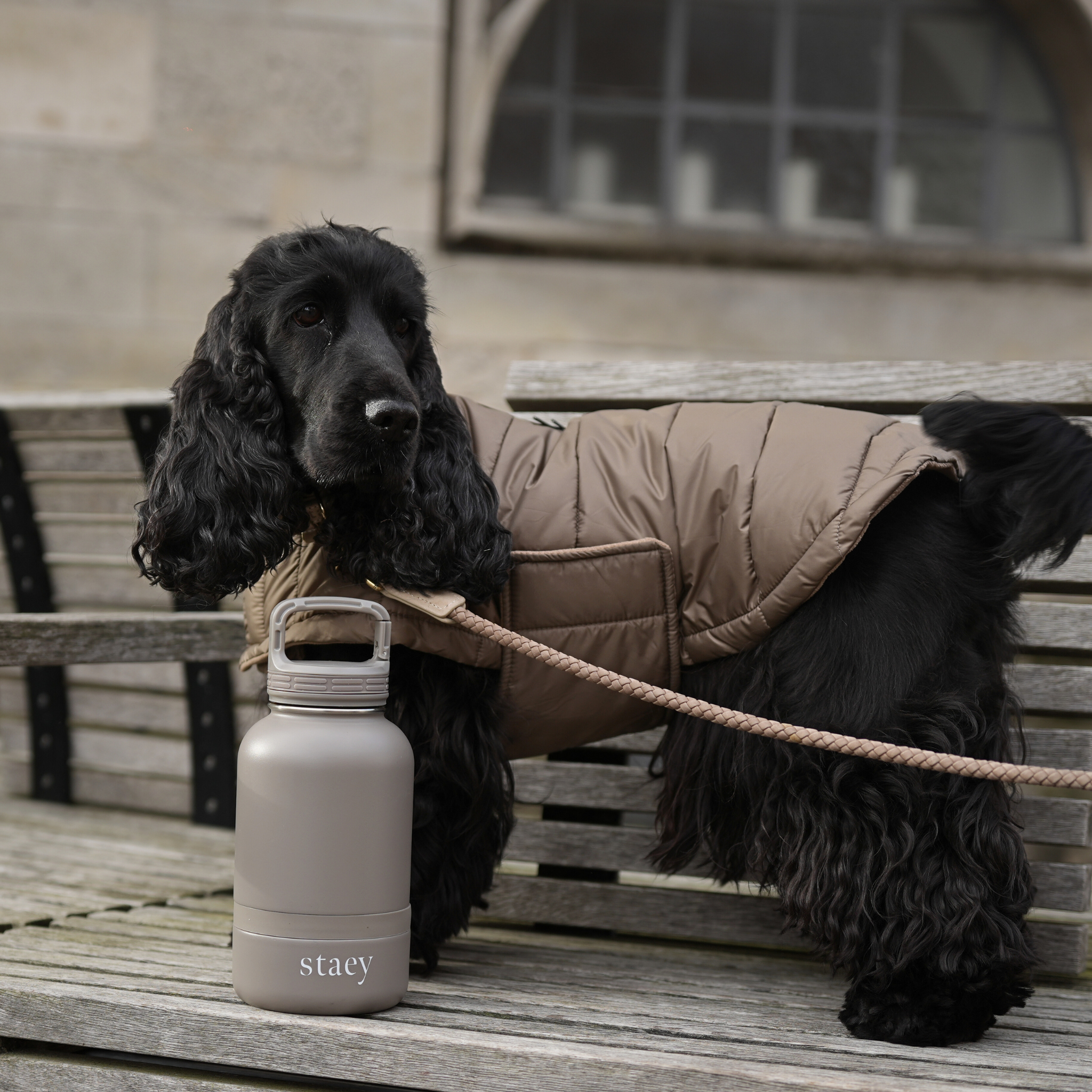 Noona 2-in-1 Bottle w. Bowl | Stainless Steel