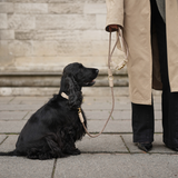 Kaia Braided Dog Collar | Taupe