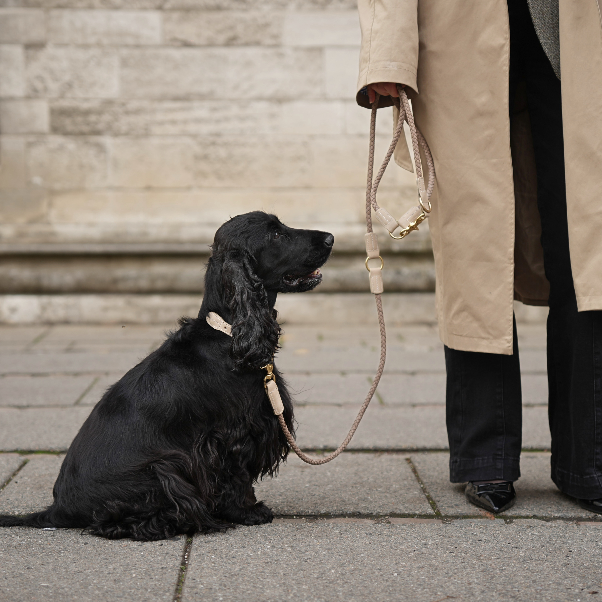 Kaia Braided Dog Collar | Taupe