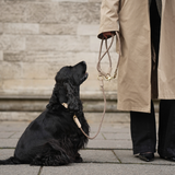 Geflochtene Hundeleine Kaia | Taupe