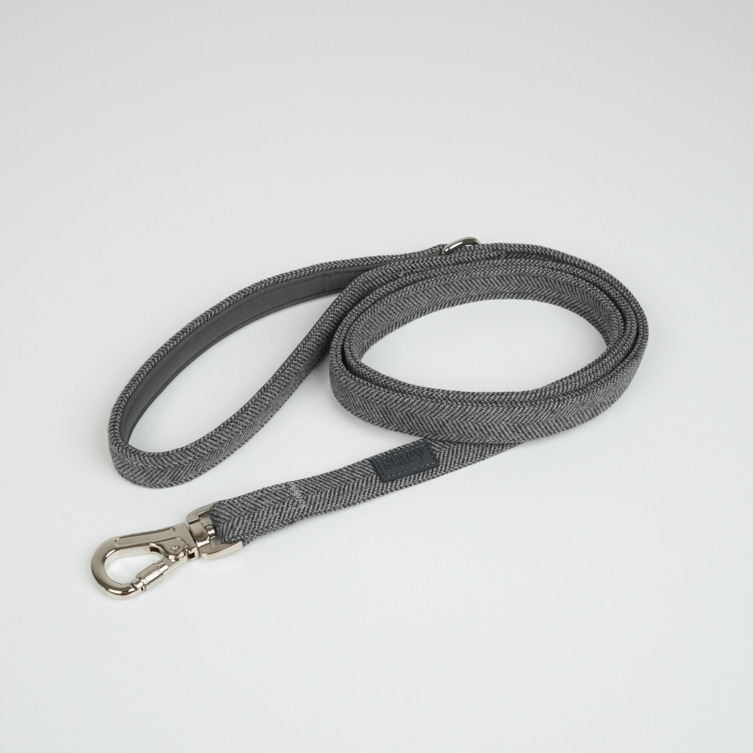 Dog Leash Elma | Dusty Blue