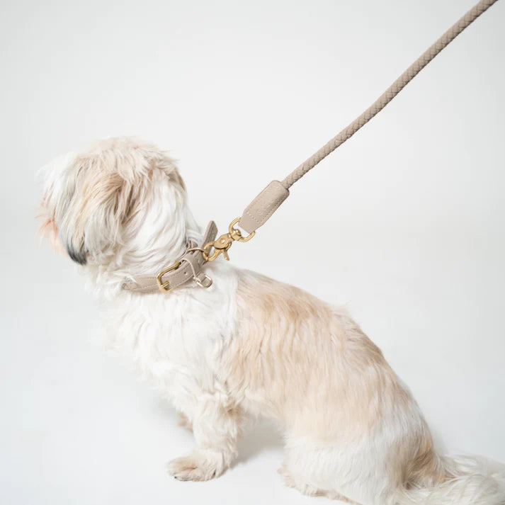 Braided Dog Leash Kaia | Nature