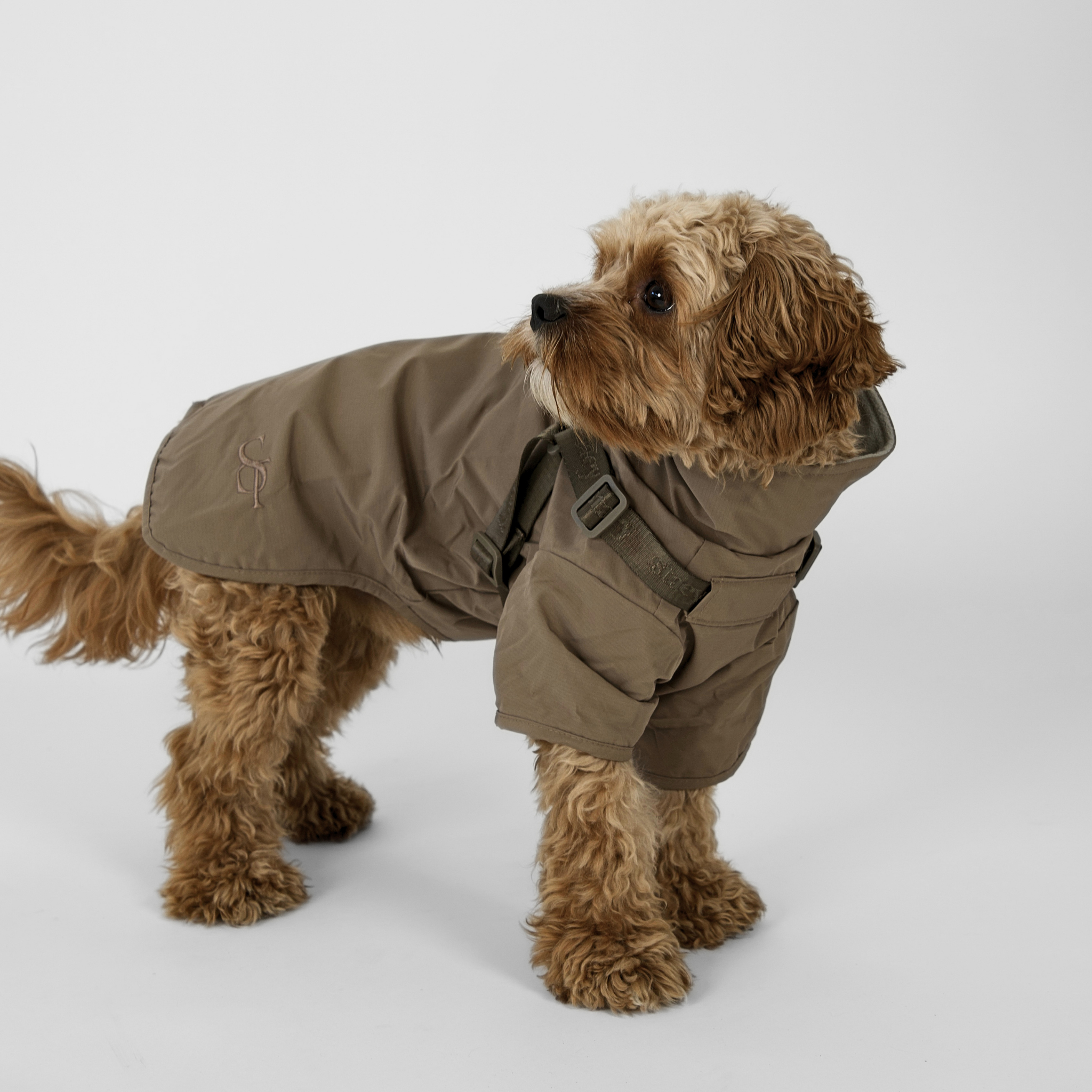 Leva Dog Rain Coat w. Harness | Taupe