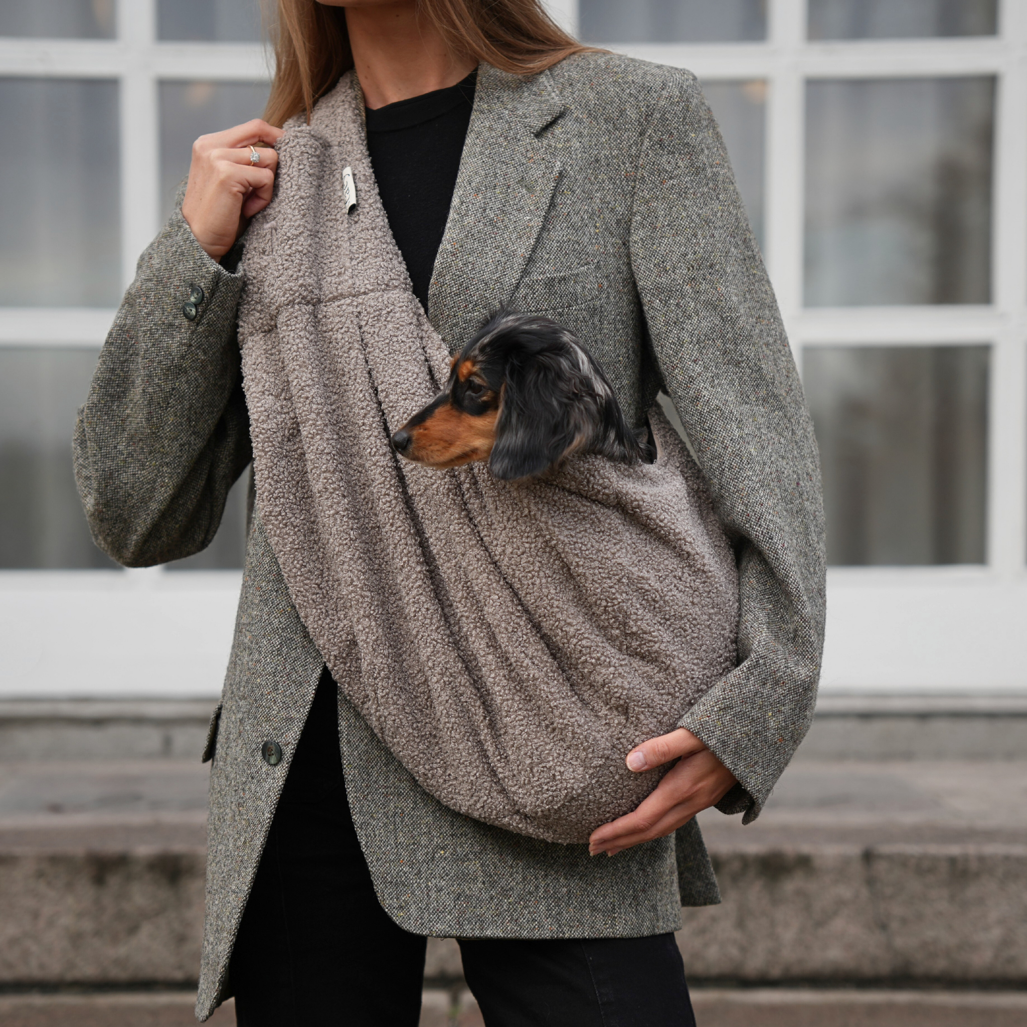 Ava Puppy Carrier | Teddy