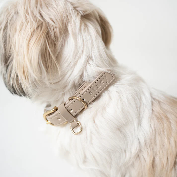 Braided Dog Collar Kaia | Nature