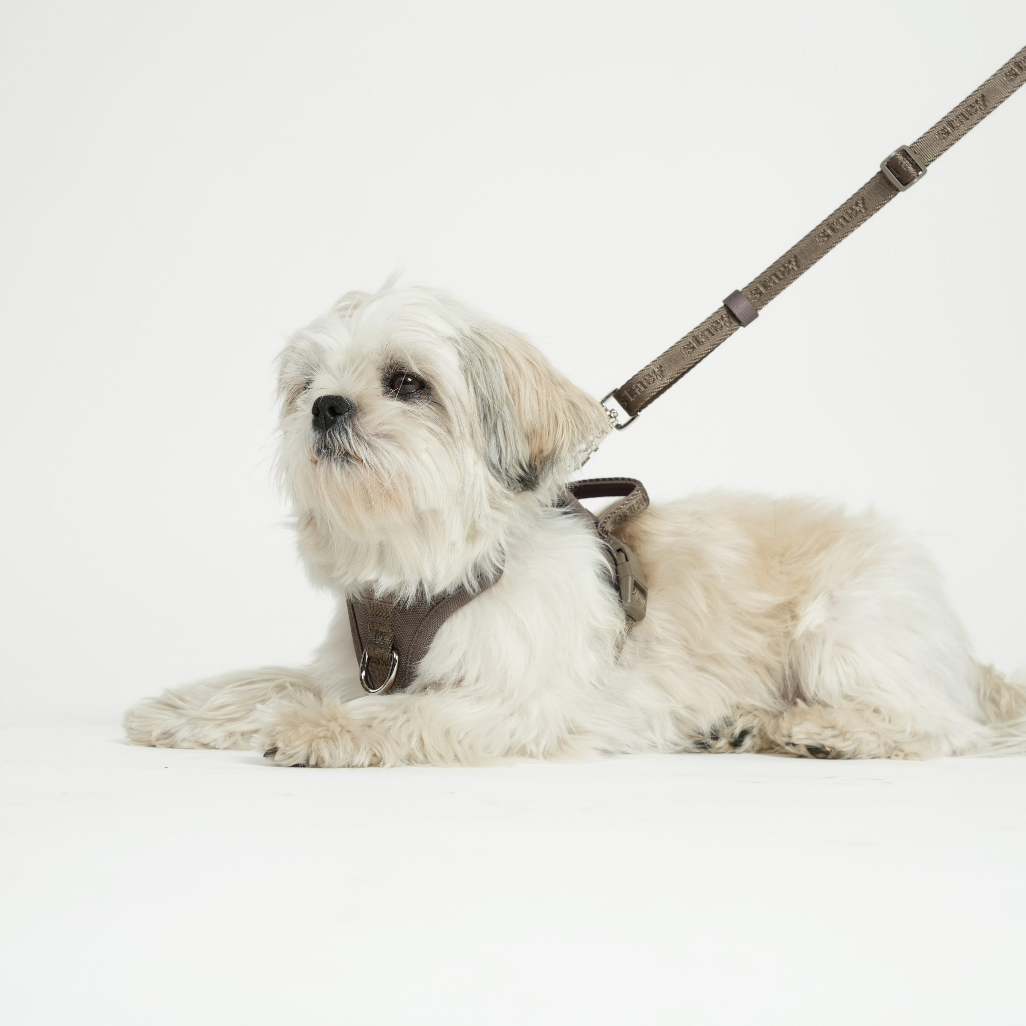 Elma Active Dog Harness | Taupe