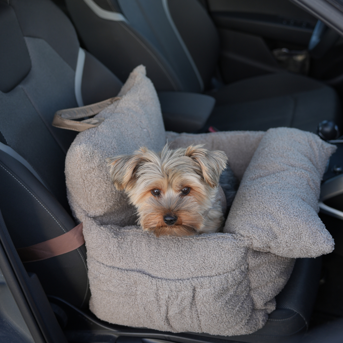 Car Seat Lara | Teddy