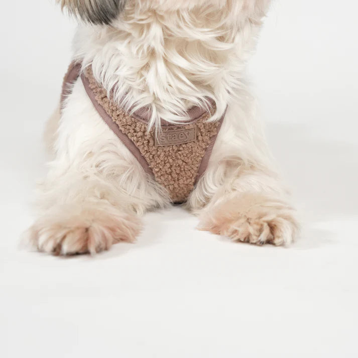 Step-In Dog Harness Teddy | Mocca