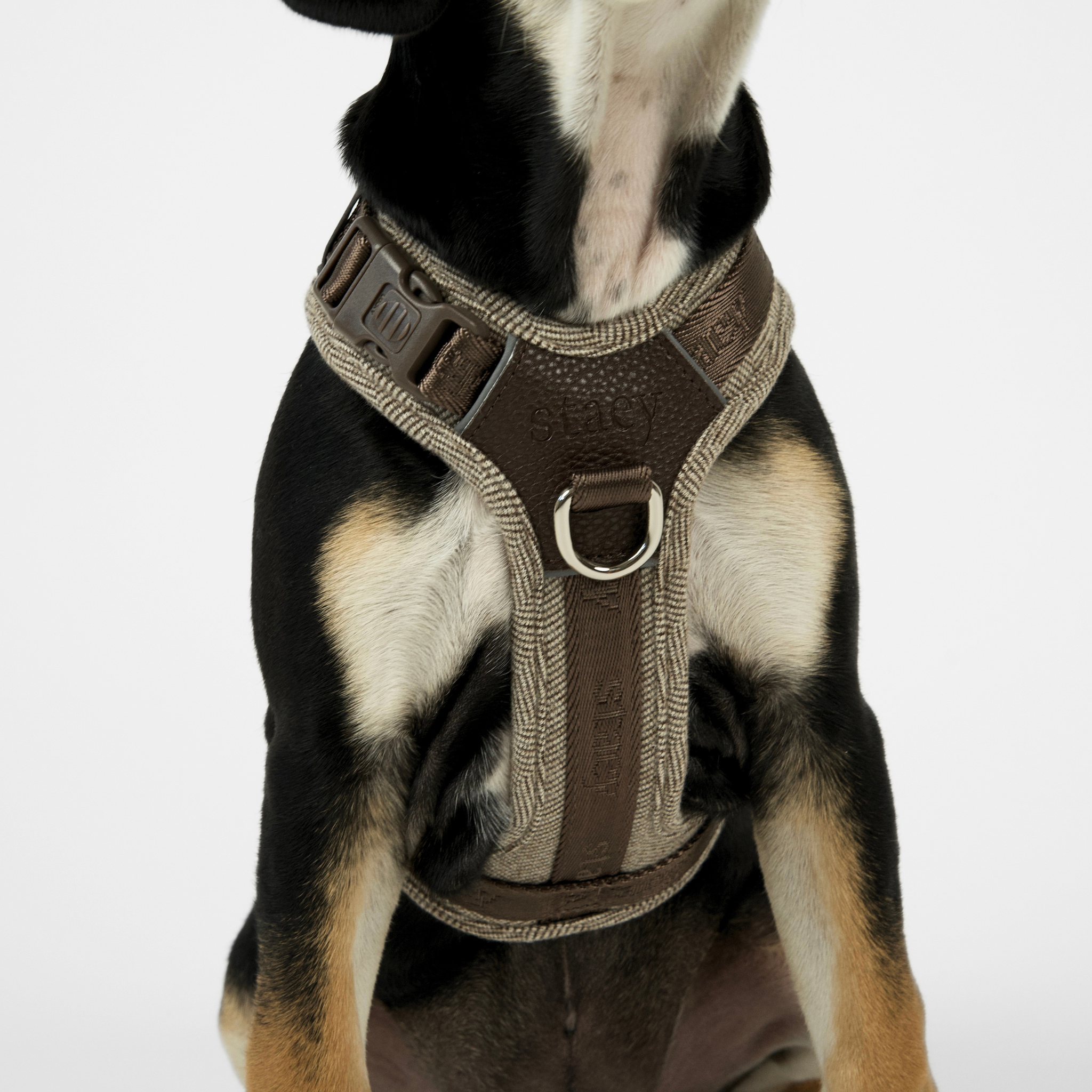 Numa Dog Harness | Mocca