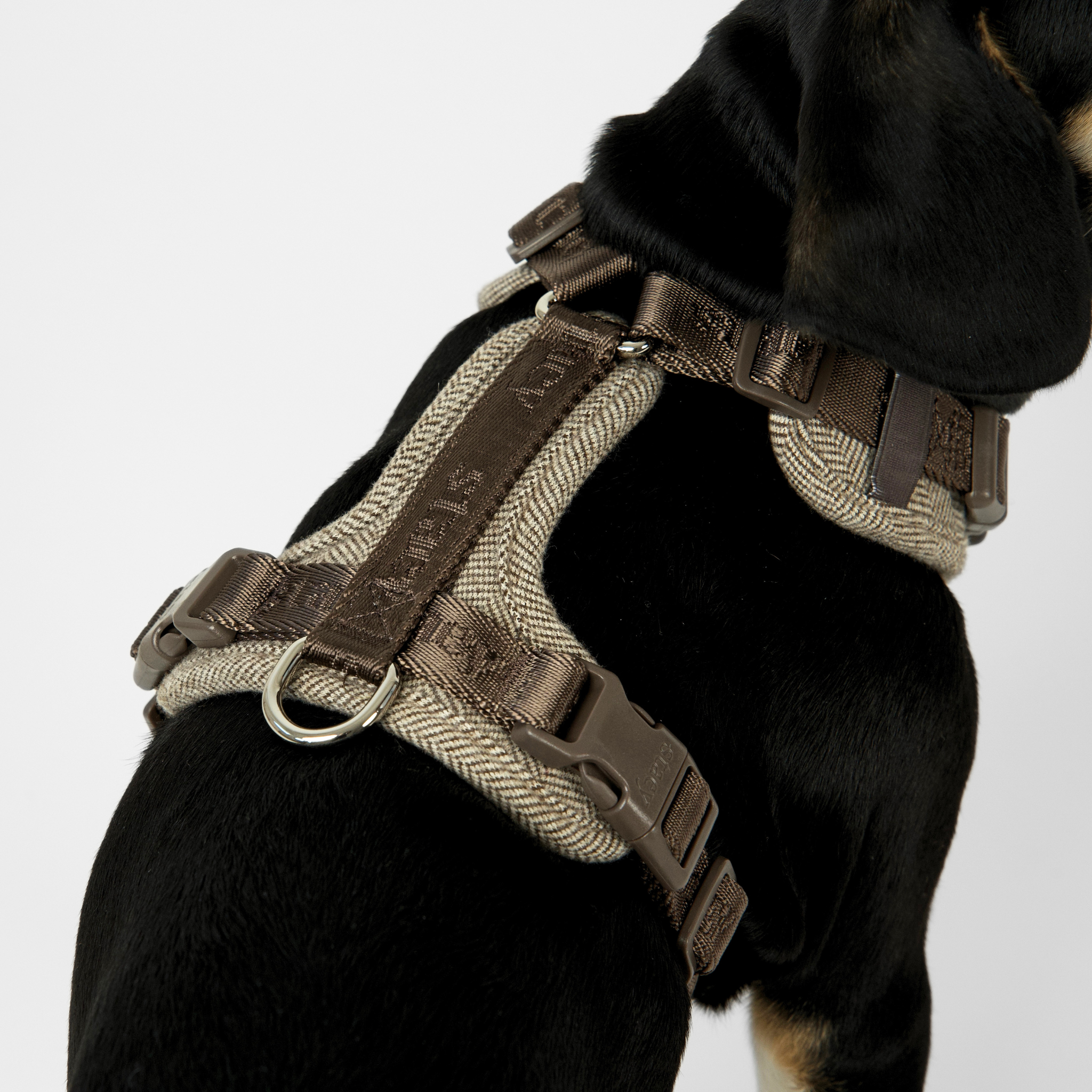 Numa Dog Harness | Mocca